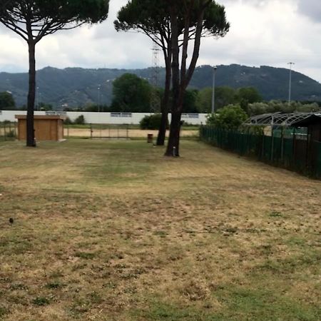 L'Alloggio Del Capitano Viareggio Bagian luar foto